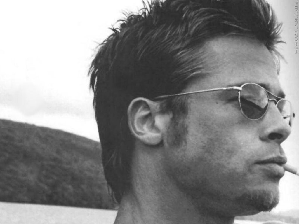 Brad Pitt porte soutien au mariage gay