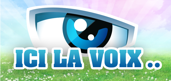#SS8 : Mais qui est La Voix ?