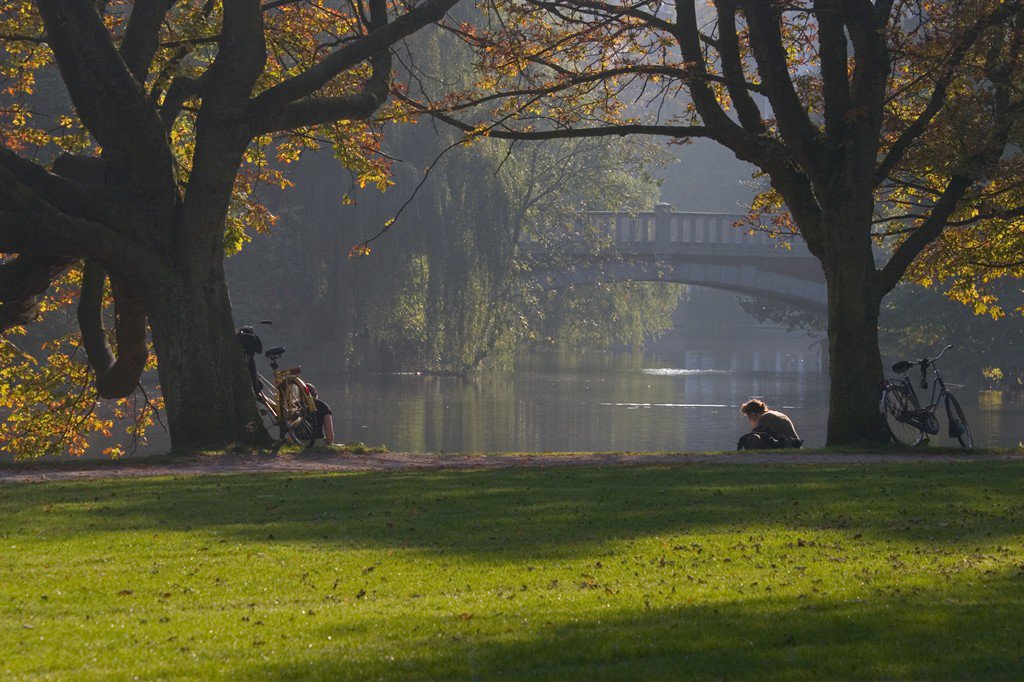 Faire l'amour dans un parc public, c'est désormais possible !