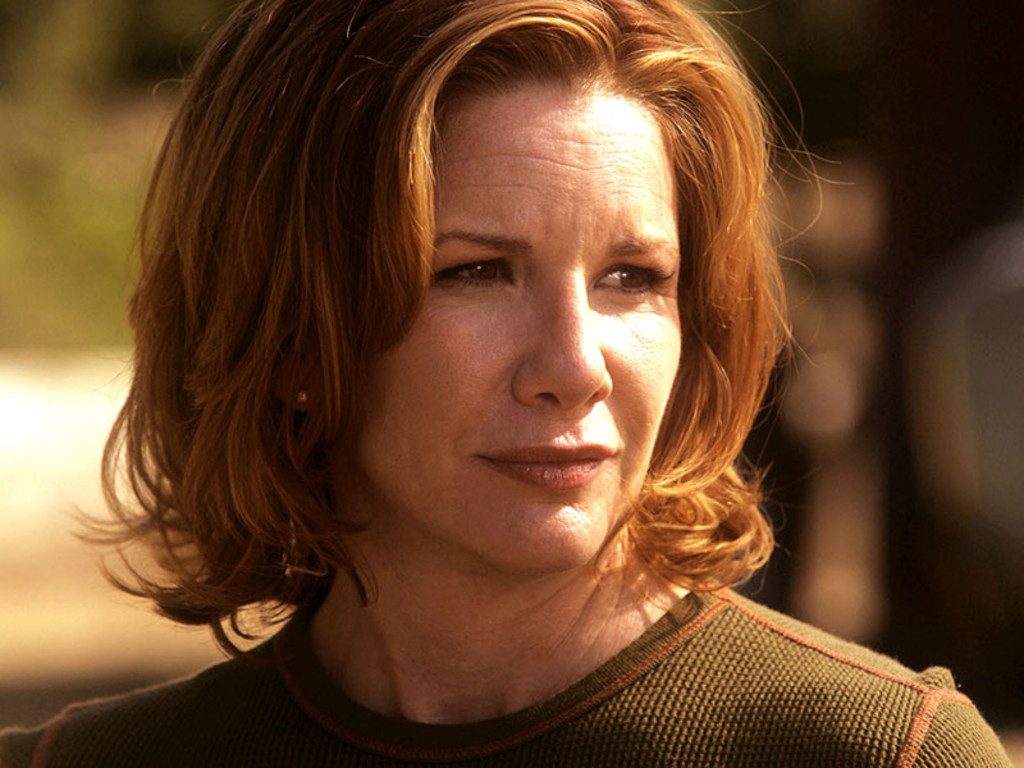 Melissa Gilbert se lance dans une carrière politique