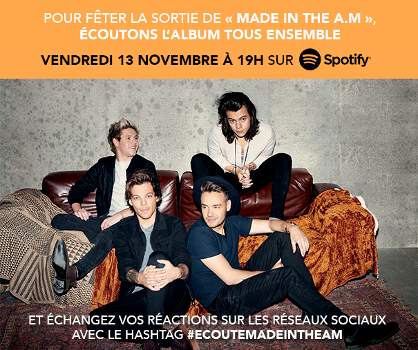 Avis aux fans des One Direction !