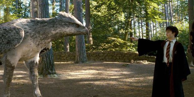 Les Animaux Fantastiques : La première bande-annonce de l’avant Harry Potter