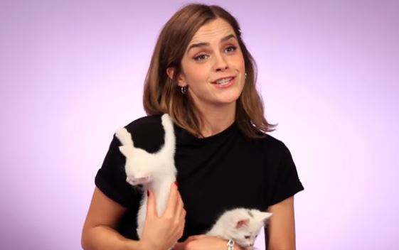 Emma Watson fait le buzz avec son interview pleine de chatons !