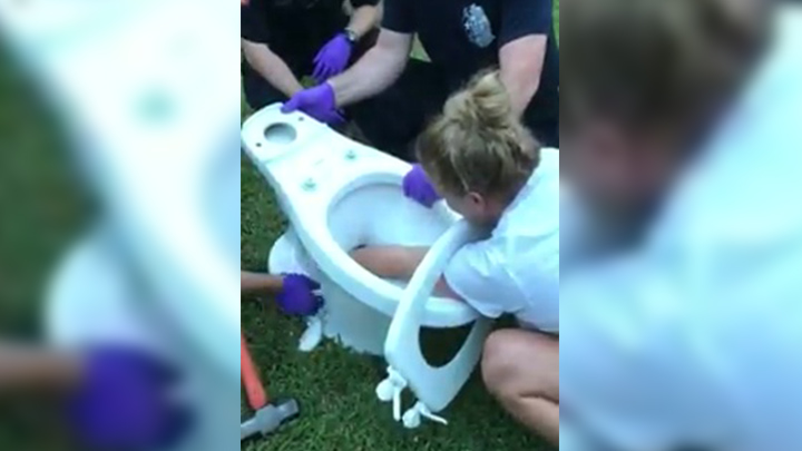 Cette femme va vite regretter d'avoir voulu déboucher ses toilettes à la main