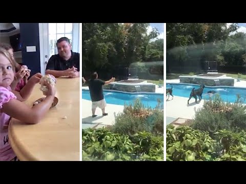 Sa femme est enceinte de leur cinquième fille : La réaction de ce papa est hilarante !