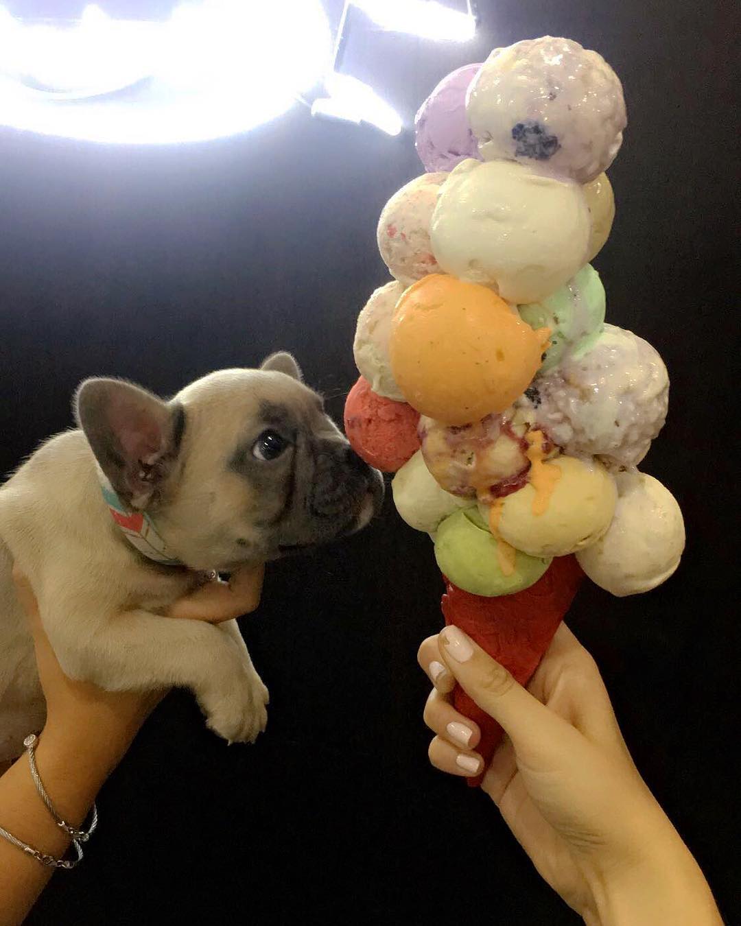 Les bouquets de glace ou les "Ice Cream bouquets" vont vous faire fondre