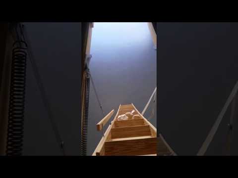 Il rénove une maison... et fait une terrifiante découverte !
