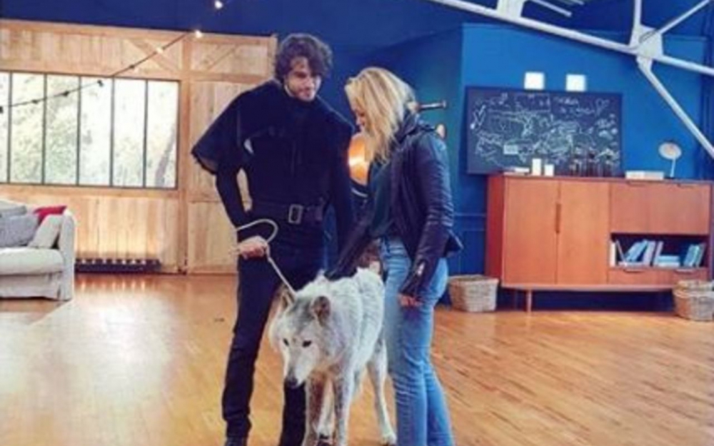 Danse avec les stars : Face aux pressions, TF1 annule la diffusion d'une séquence avec un loup