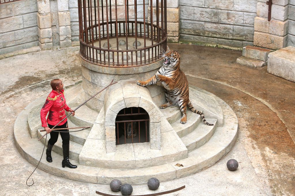 Fort Boyard : L'association PETA entend stopper l'apparition des tigres