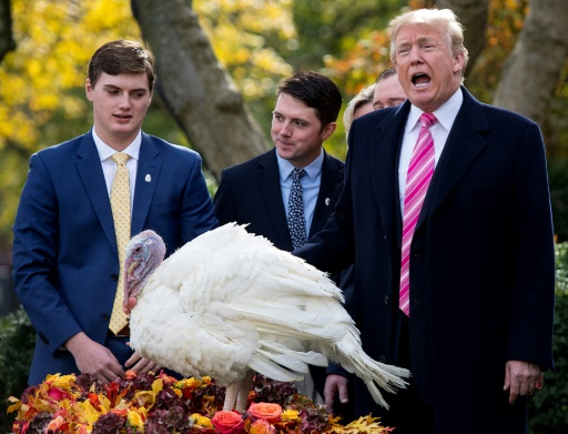 Thanksgiving : Donald Trump sauve une dinde d'une mort certaine
