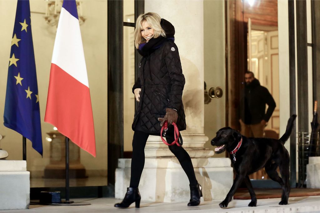Nemo, le chien d'Emmanuel Macron reçoit plus de cadeaux que le président !