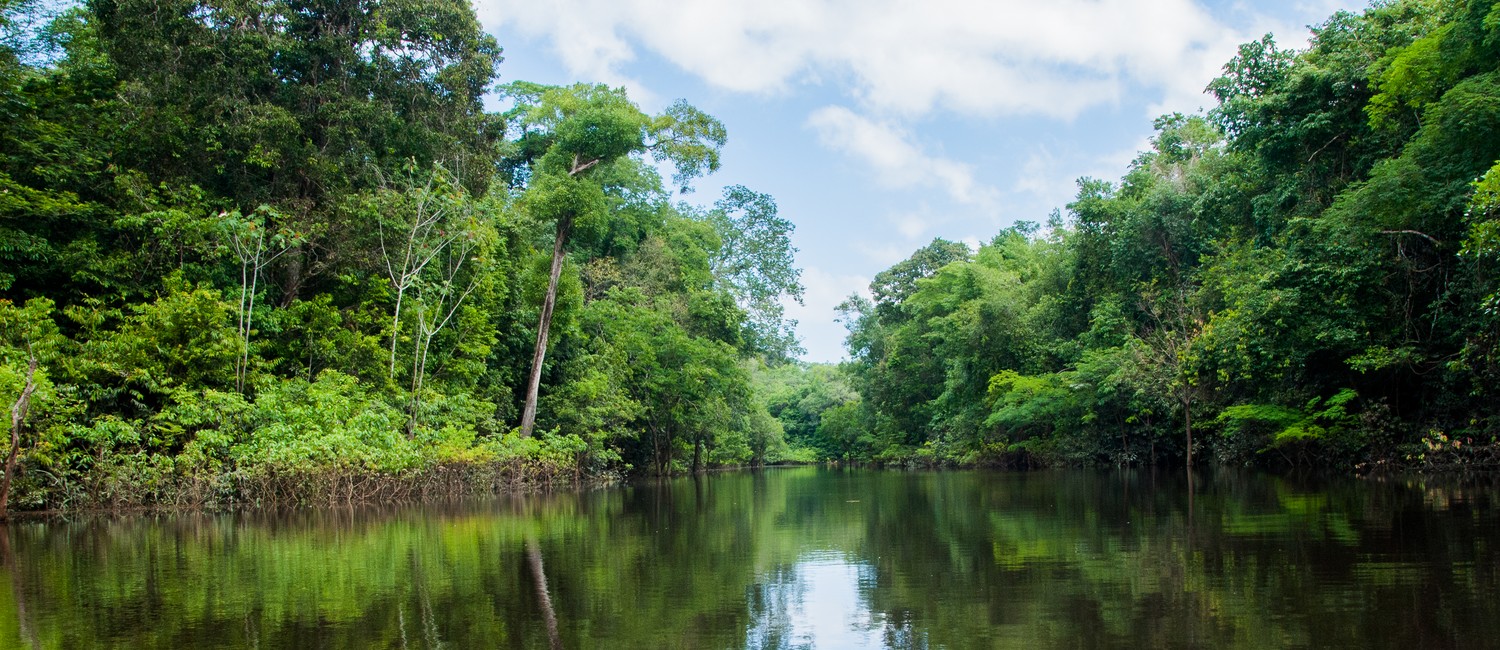 L'Amazonie fut peuplée par des millions de personnes dans le passé