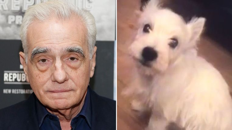 Martin Scorsese devant la justice à cause de son chien