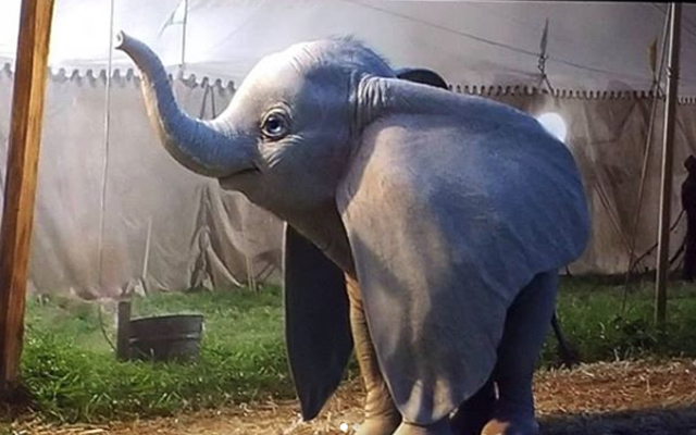 Première bande-annonce pour Dumbo, le remake de Disney