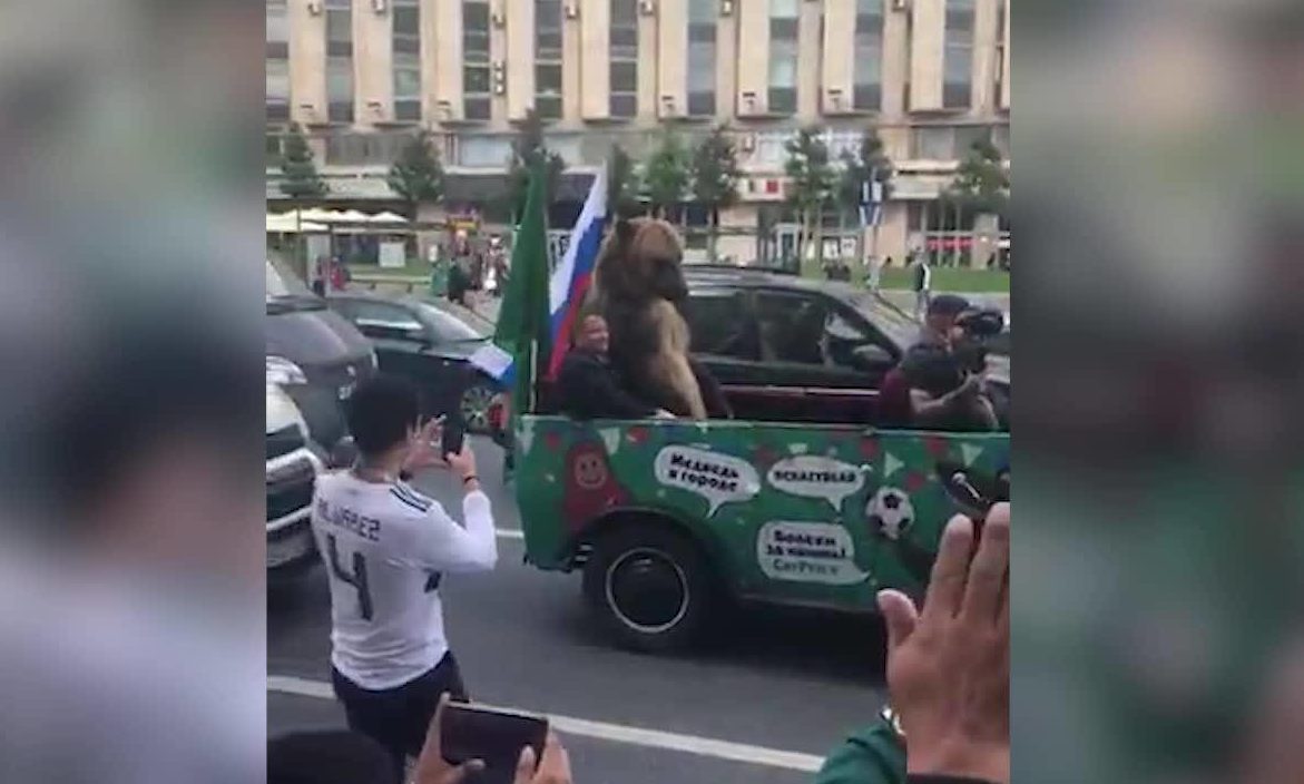 Un ours célèbre la victoire russe avec une vuvuzela