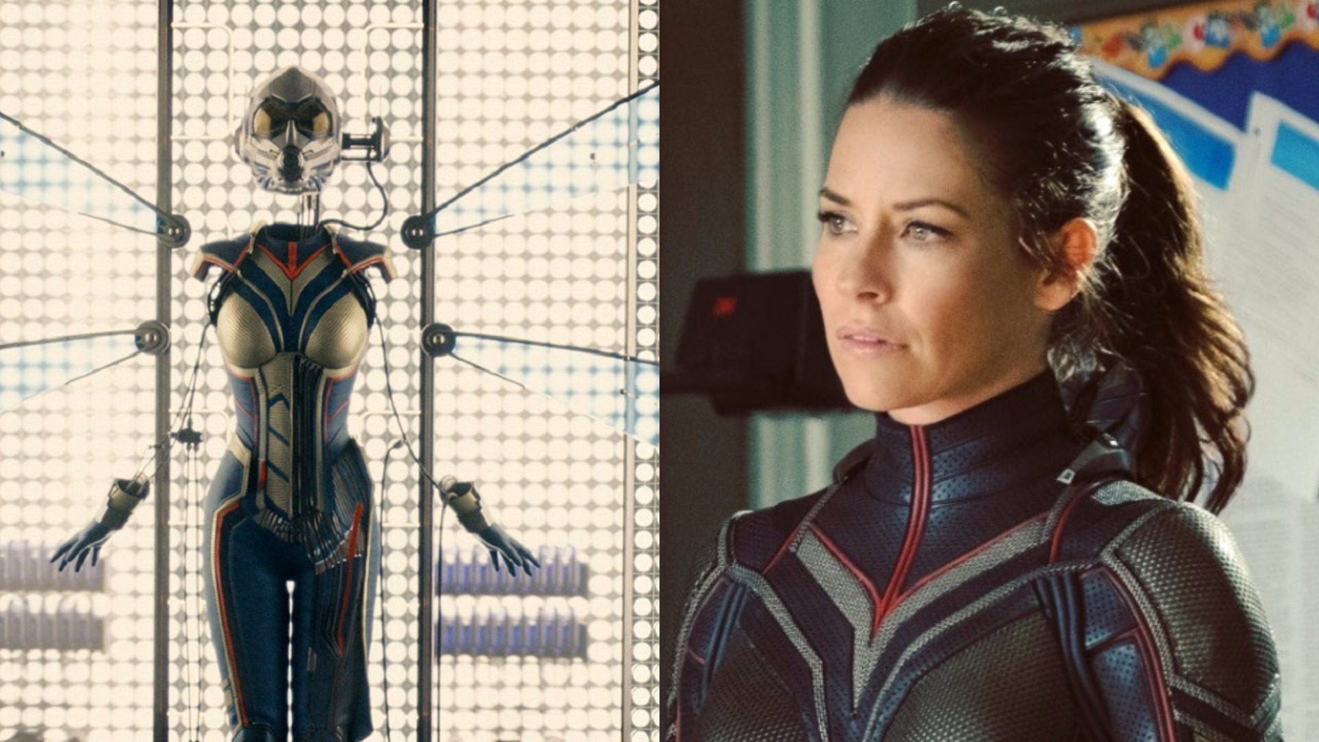 Pourquoi les acteurs n'aiment pas leurs costumes de super-héros ? Evangeline Lilly balance !