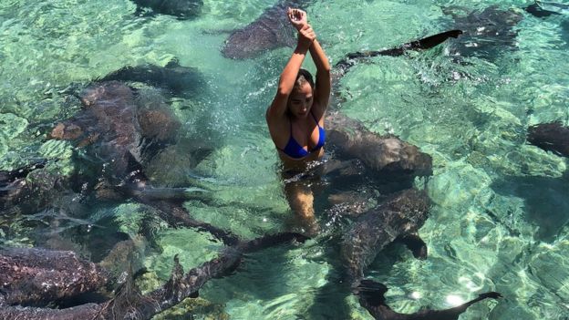 Bahamas : Un requin tente de lui arracher le bras lors d’une séance photo