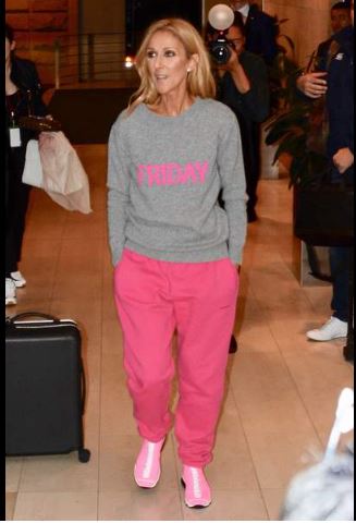 Céline Dion part à la rencontre de ses fans dans une tenue hallucinante