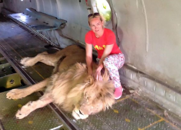 Elle pose avec un lion et bien sûr, ça se passe mal !