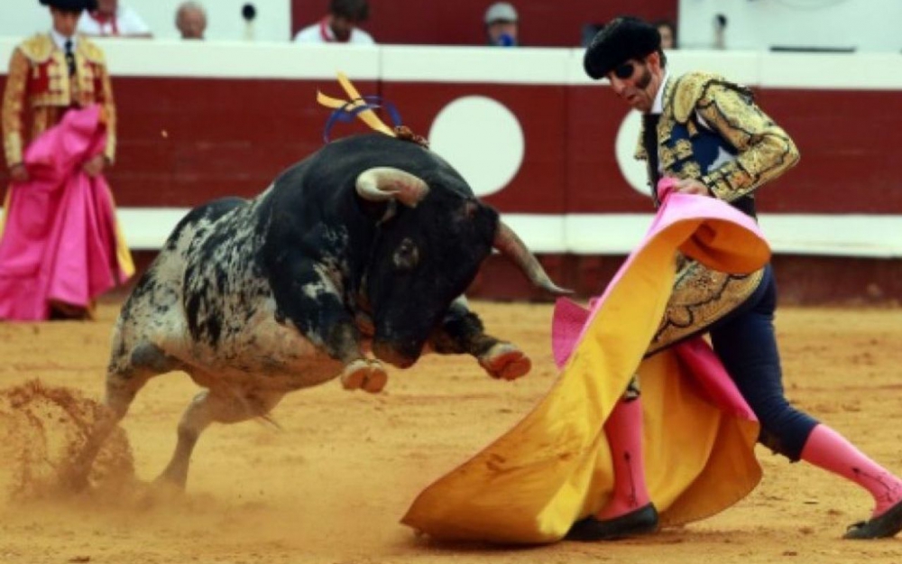 Espagne : Un matador scalpé par un taureau
