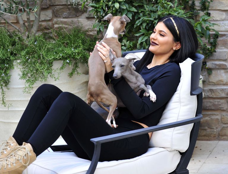 Kylie Jenner offre une maisonnette tout équipée à ses chiens !