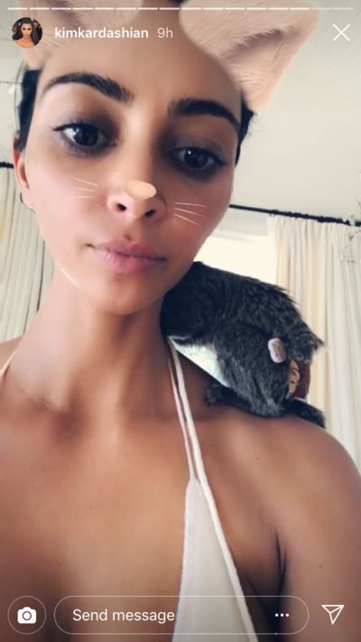 Kim Kardashian a des ennuis avec la PETA, découvrez pourquoi !