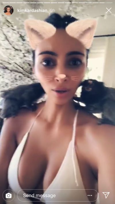 Kim Kardashian a des ennuis avec la PETA, découvrez pourquoi !