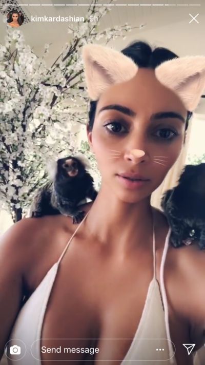 Kim Kardashian a des ennuis avec la PETA, découvrez pourquoi !