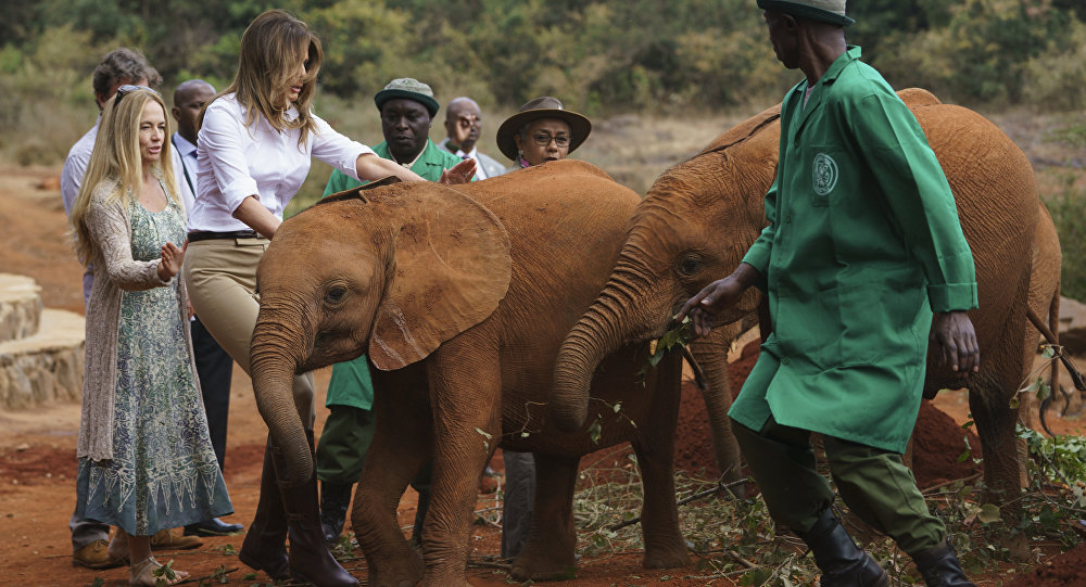 En visite en Afrique, Melania Trump se fait bousculer par un éléphant