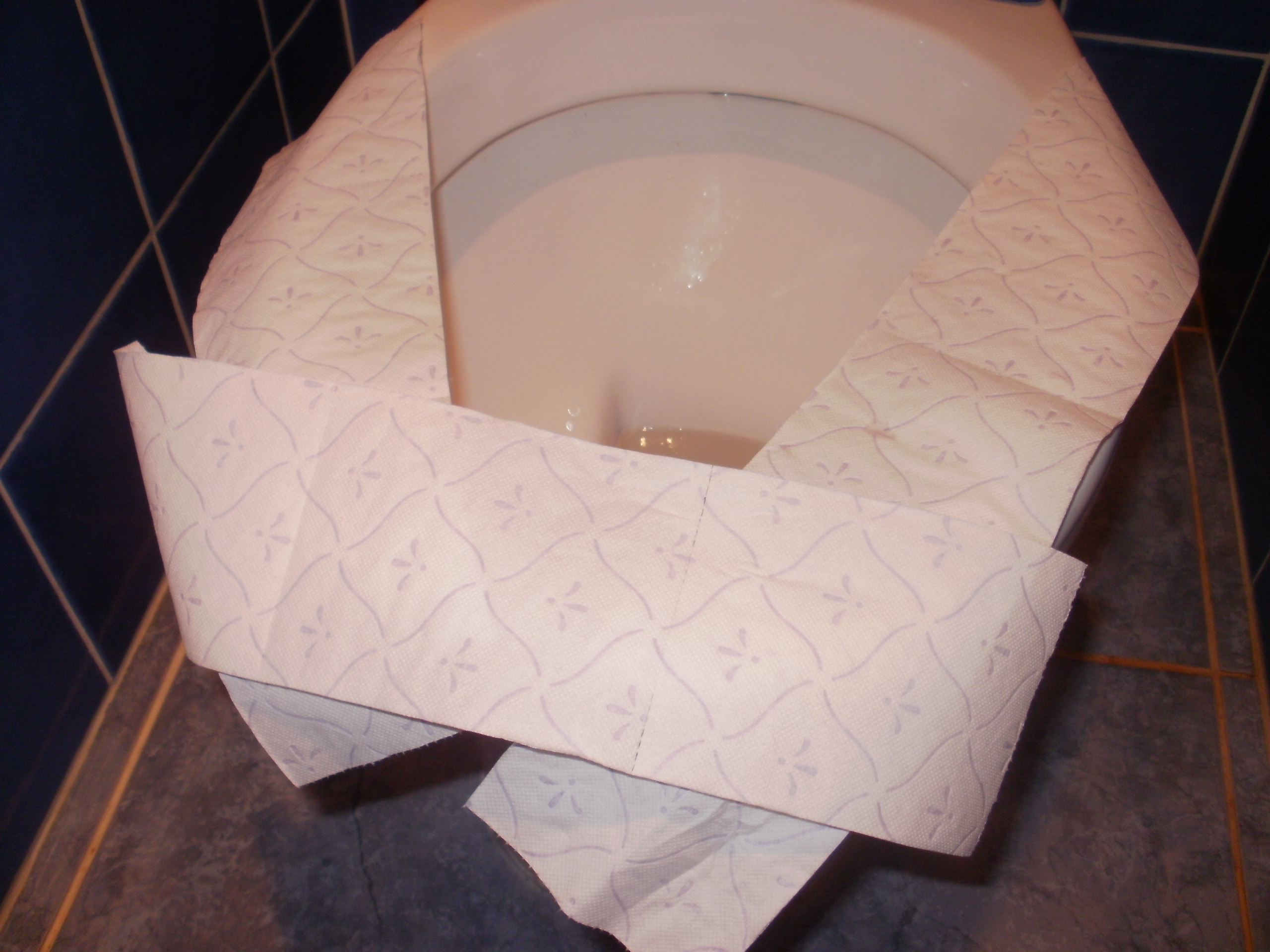 Hygiène : Ne posez jamais de papier sur la cuvette des toilettes
