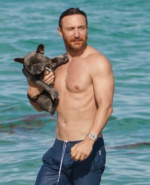 David Guetta en forme : il s’affiche tout musclé à la plage avec sa chérie