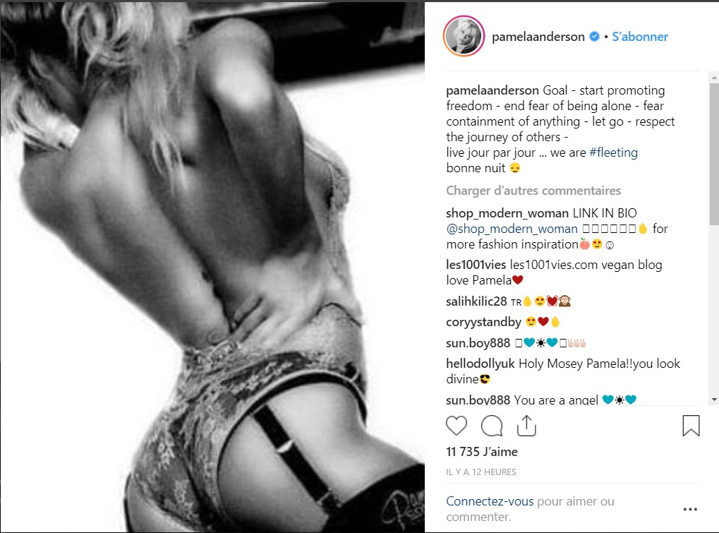 Pamela Anderson ultra torride en porte-jarretelles et body transparent