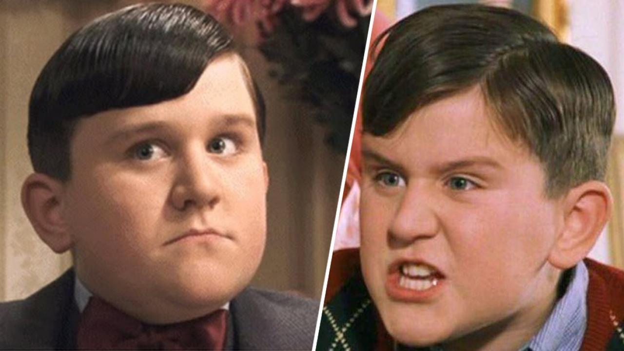 Dudley Dursley, le terrible cousin d'Harry Potter, est aujourd'hui méconnaissable