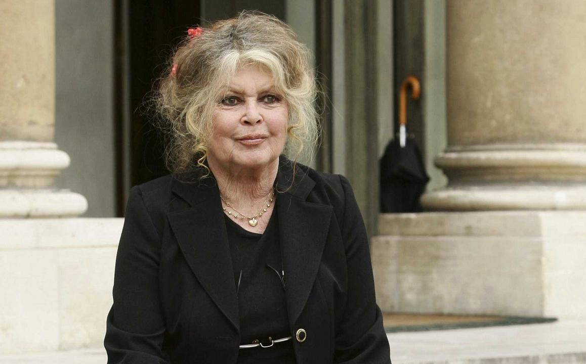 Gilets jaunes : Brigitte Bardot critique le gouvernement et ses dépenses d’une « futilité inimaginable »