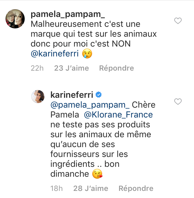 Karine Ferri : Pourquoi sa dernière photo sur Instagram a été vivement critiquée...