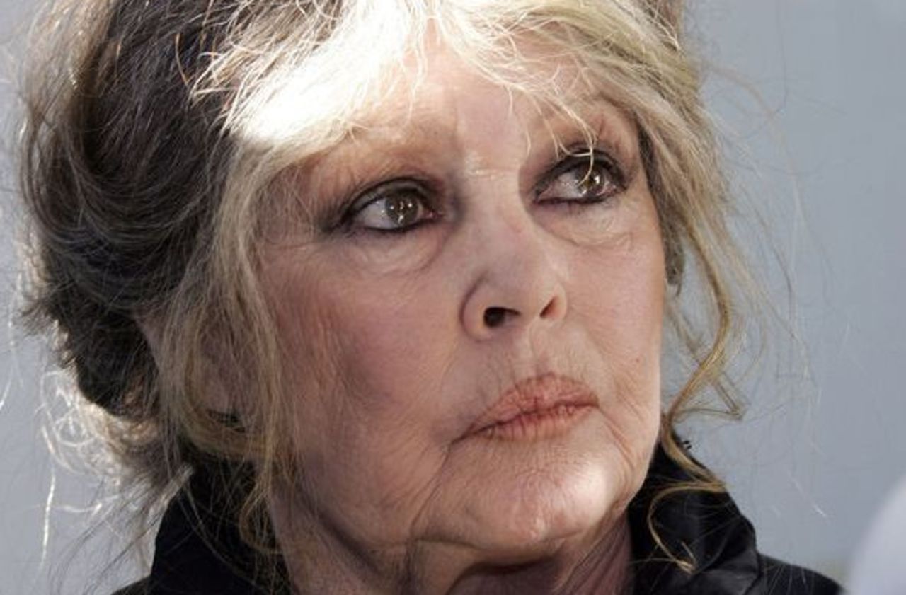 Brigitte Bardot face aux Gilets Jaunes : « Ne lâchez rien ! »