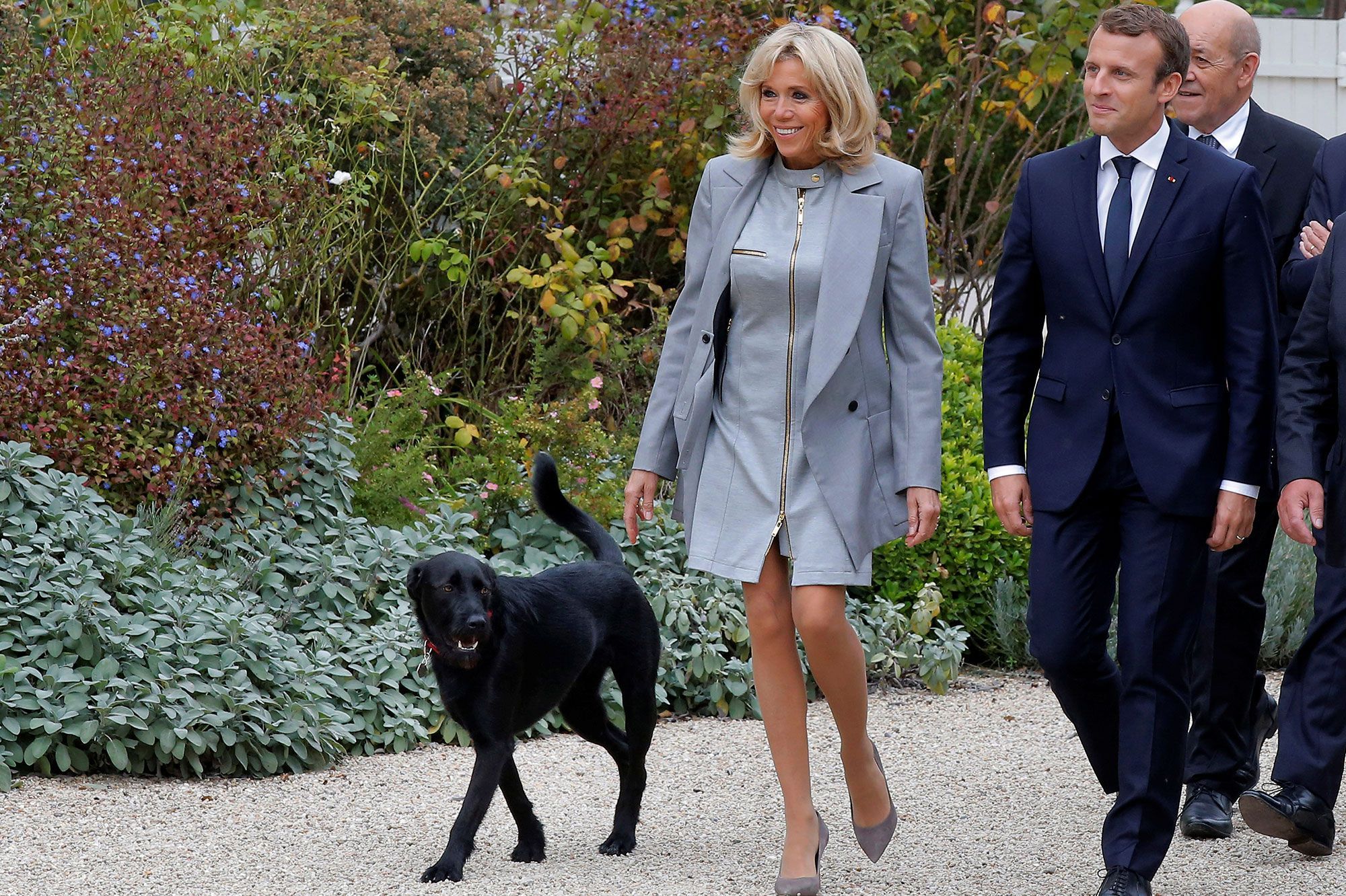 Emmanuel et Brigitte Macron : Leur chien a une peluche à son effigie... et son prix fait déjà polémique !