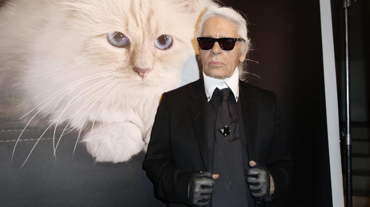 Karl Lagerfeld : Les causes de sa mort dévoilées