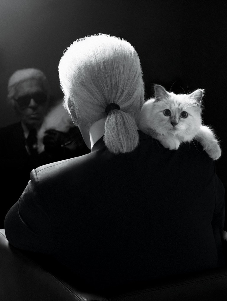 Karl Lagerfeld : Qui s’occupera désormais de sa chatte Choupette ?