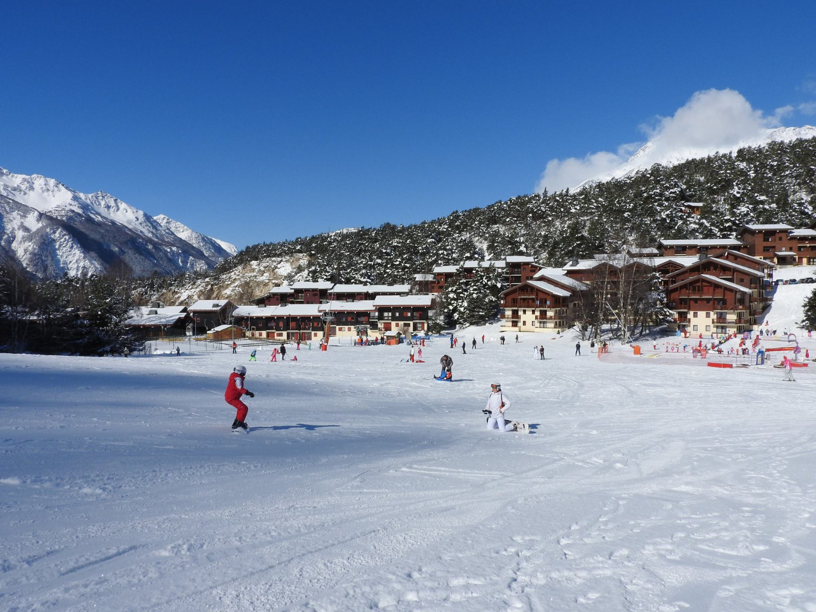 L'incroyable vidéo de ces fous qui inventent la natation dans la neige !