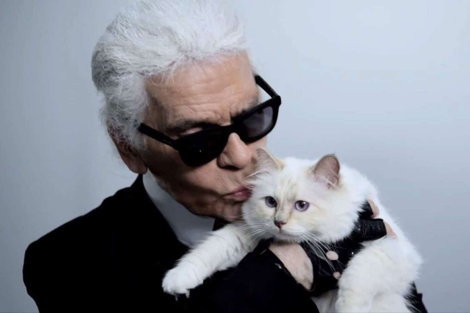Mort de Karl Lagerfeld : Sa chatte Choupette va-t-elle hériter de sa fortune ?