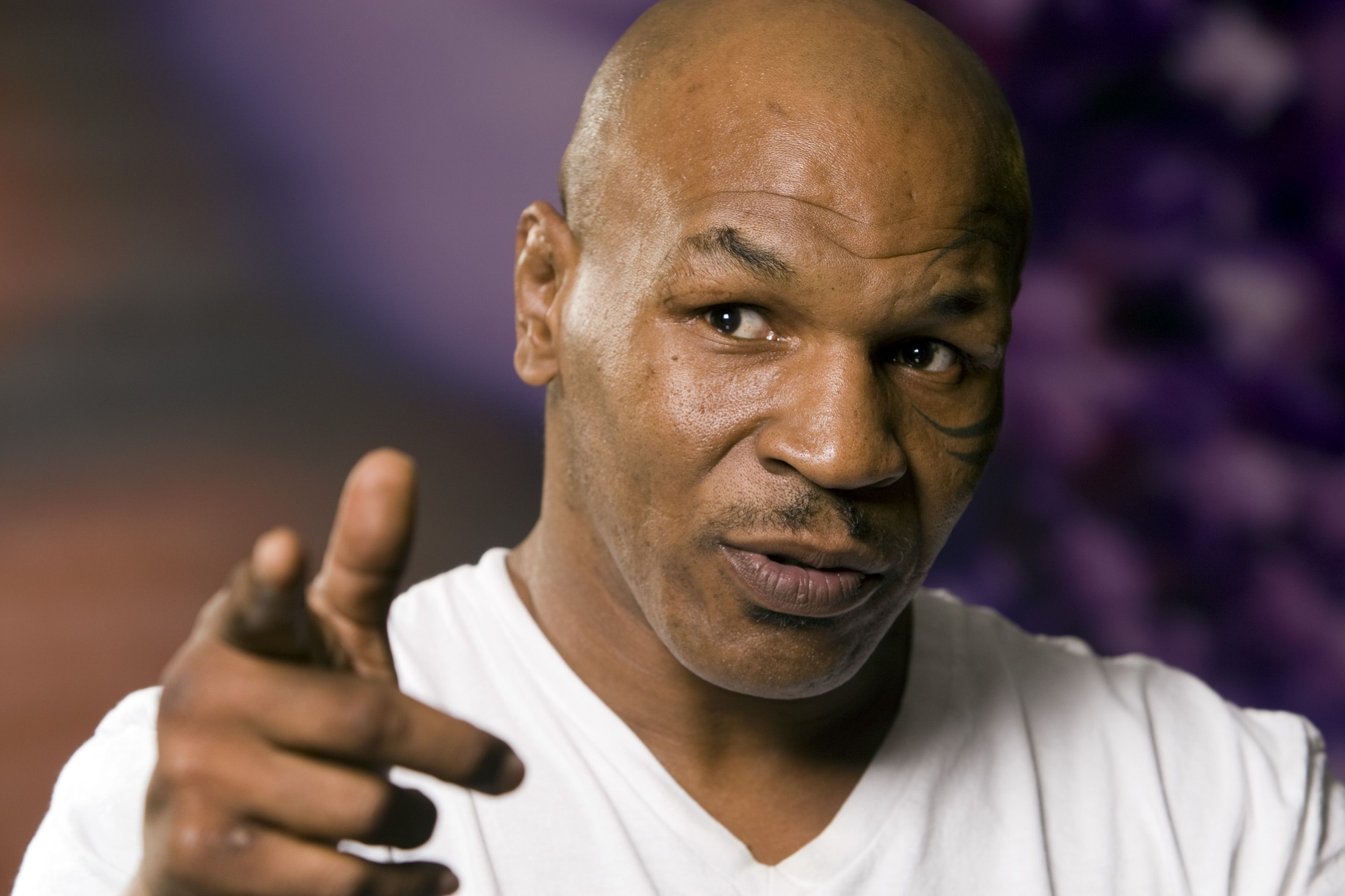 Quand Mike Tyson voulait se battre contre... un gorille !