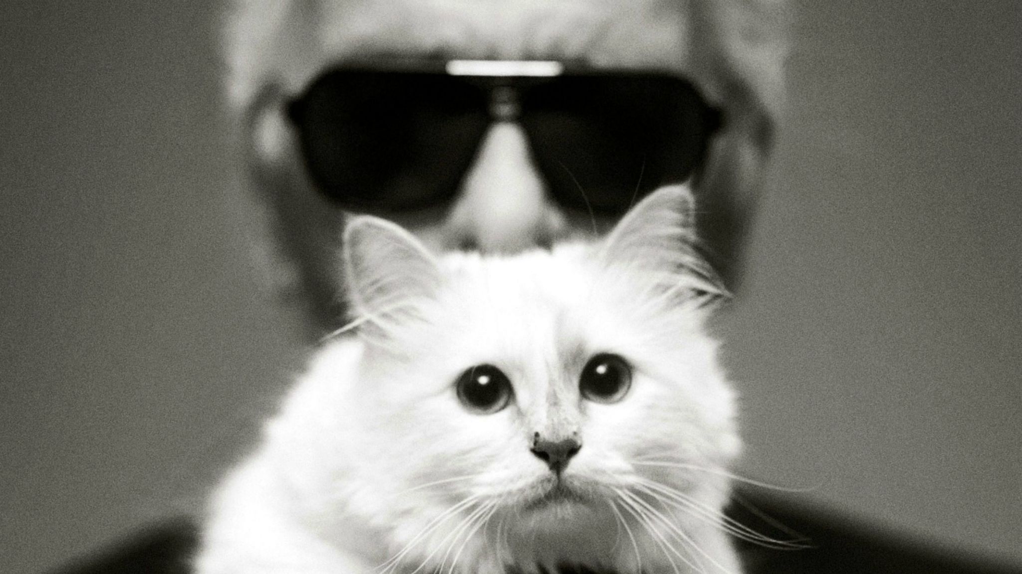 Karl Lagerfeld : on sait qui va s'occuper de Choupette !