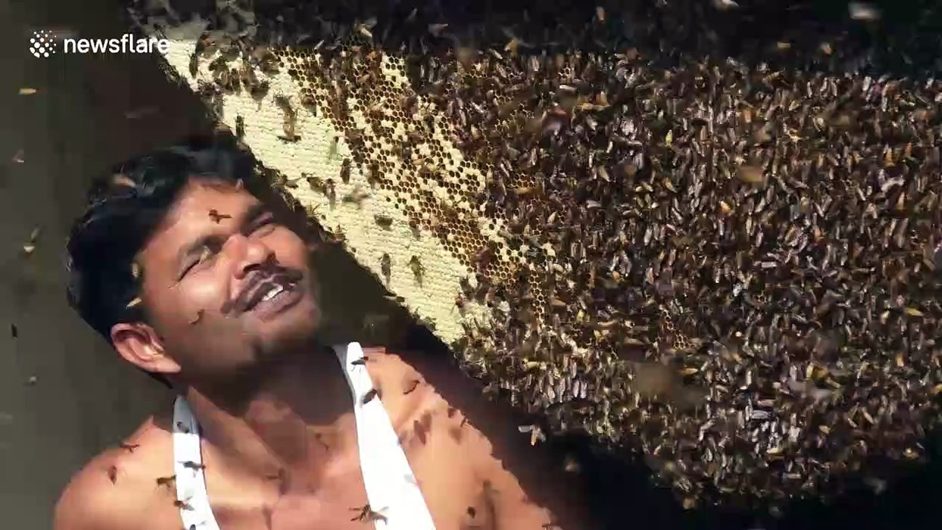 Un apiculteur se filme en train d’avaler des centaines d'abeilles