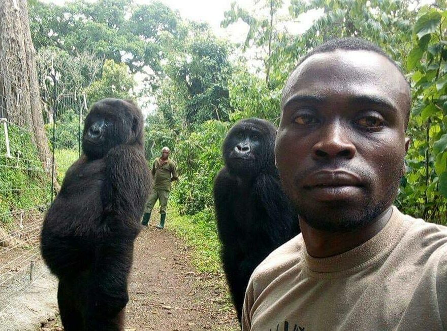 Cette surprenante photo pourrait bien être le selfie de l'année