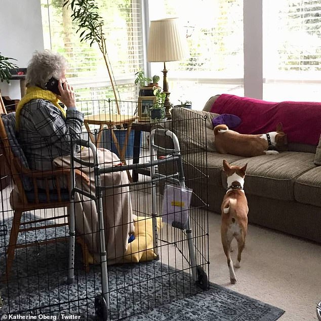 Elle met sa grand-mère en cage : la photo qui fait scandale