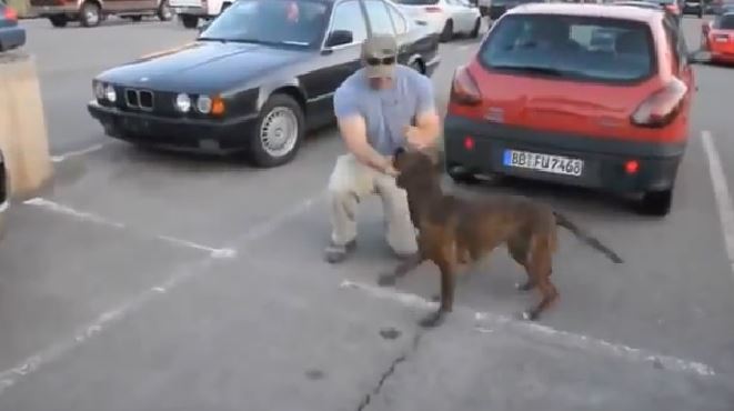 Les émouvantes retrouvailles de cet homme avec son chien après une longue absence