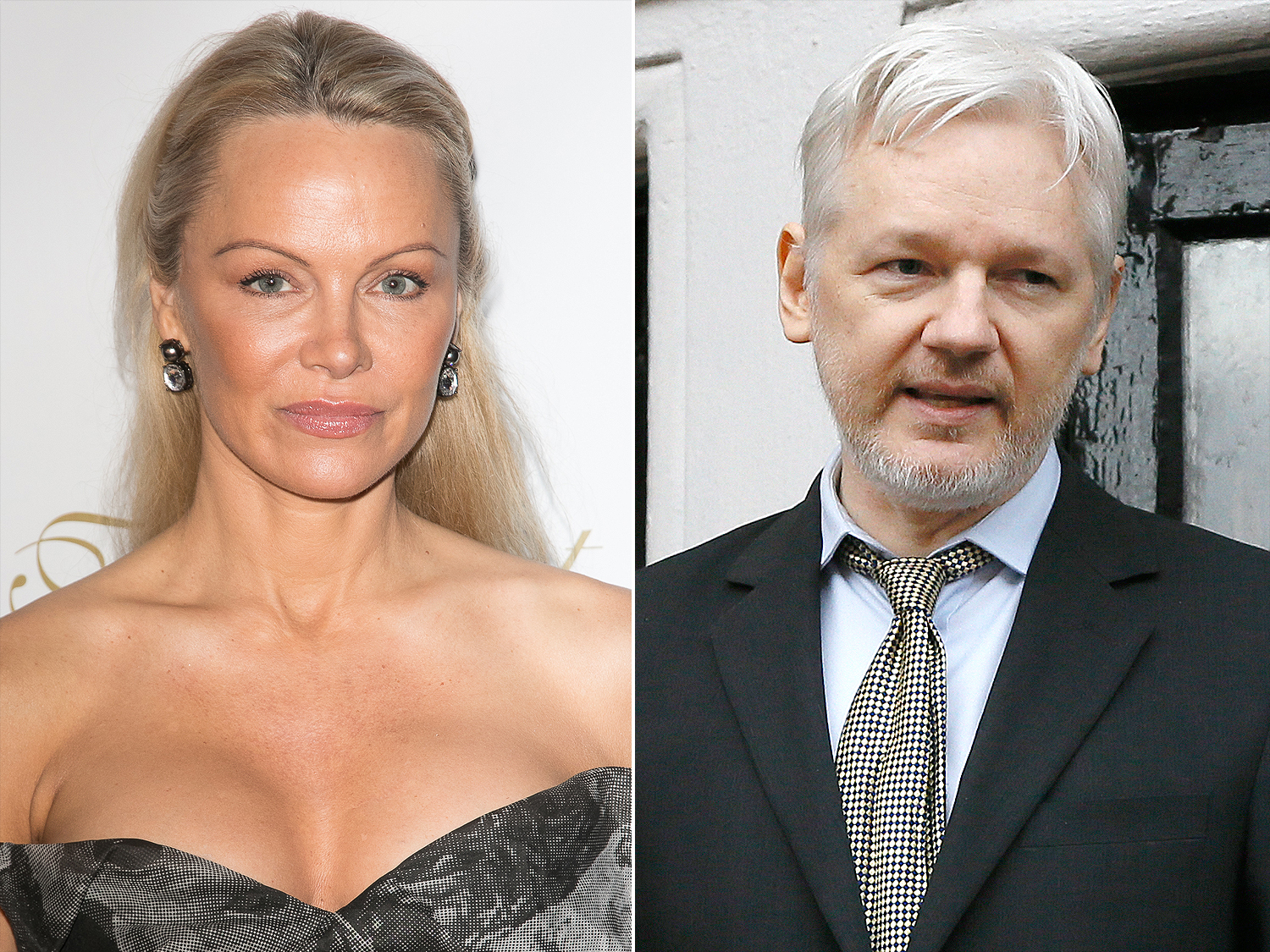 Pamela Anderson « sous le choc » suite à l’arrestation de son ex Julian Assange