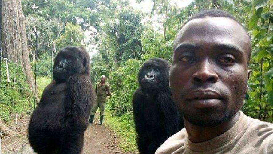 Cette surprenante photo pourrait bien être le selfie de l'année