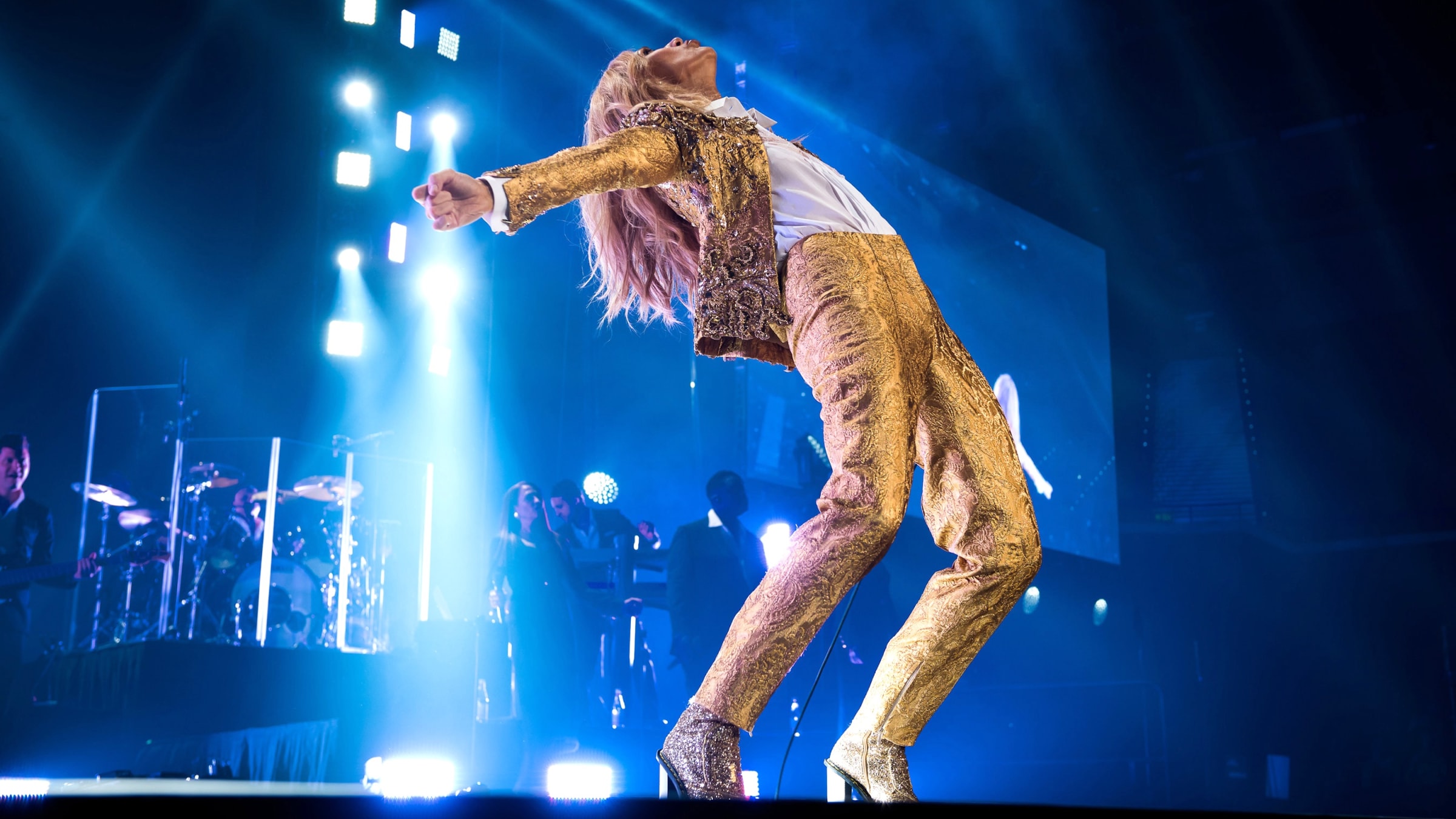 Céline Dion arrête son concert pour un fan... qui veut aller aux toilettes !